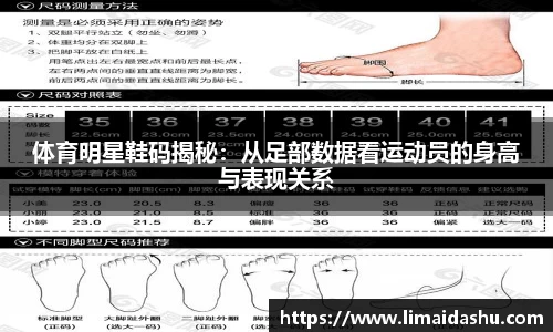 bsports必一体育